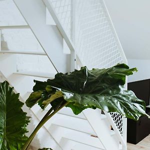Duplex Studio